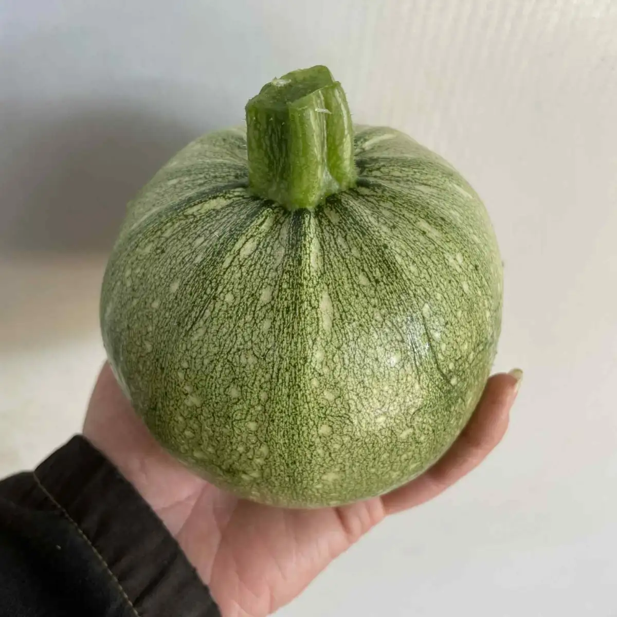 Courgette ronde
