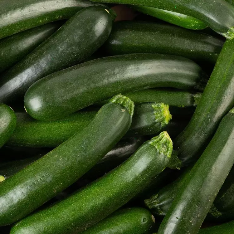 courgette verte