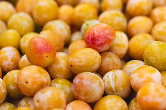 Mirabelle