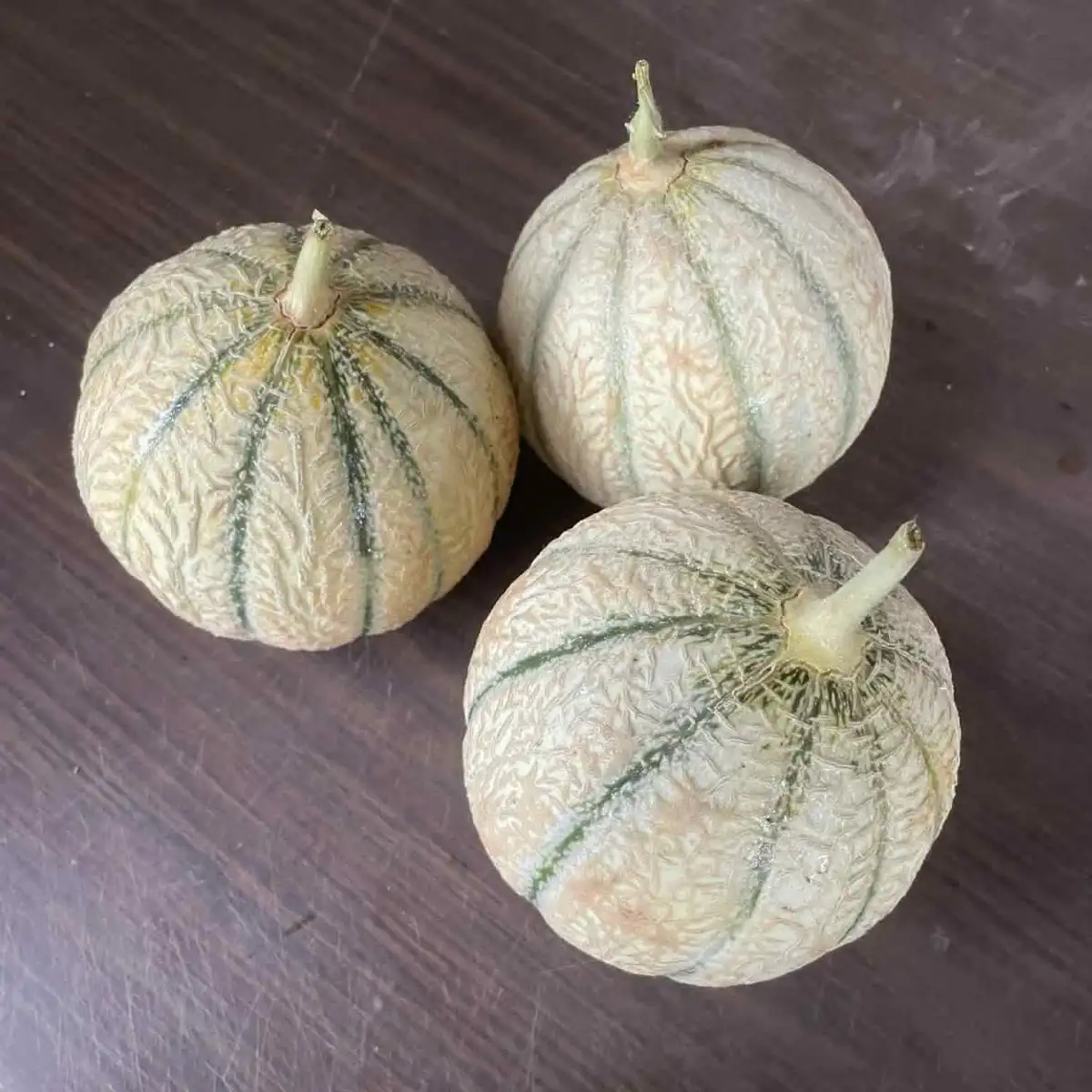 Lot de 3 melons