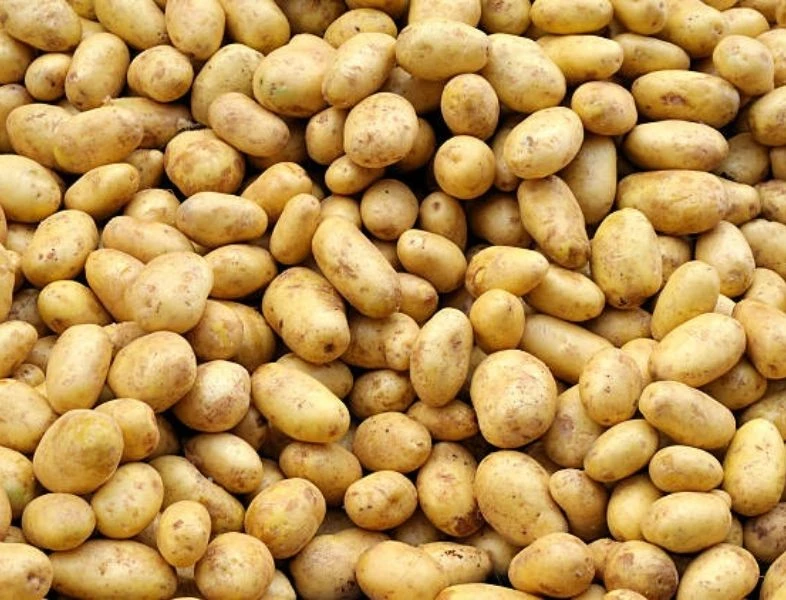 Pommes de terre en filet