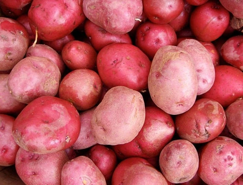 Pomme de terre Désirée