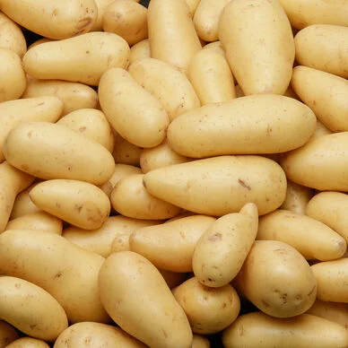 Pomme de terre Gourmandine