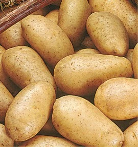 Pomme de terre El mundo