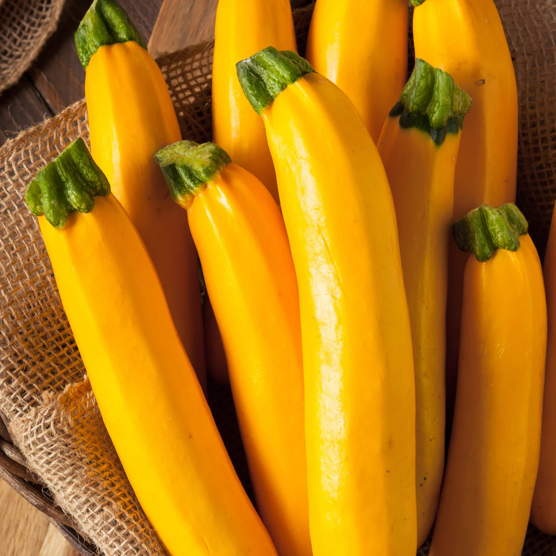 Courgette jaune