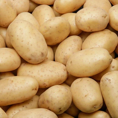 Pomme de terre El mundo